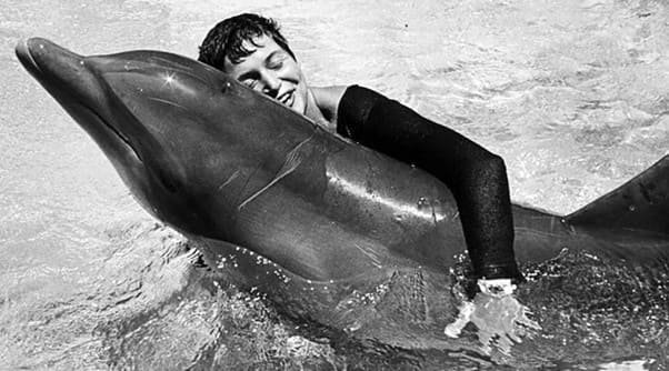 โลมาฆ่าตัวตาย เมื่อทำใจไม่ได้ที่ต้องแยกจาก