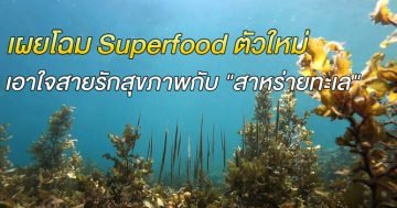 เผยโฉม Superfood ตัวใหม่ เอาใจสายรักสุขภาพกับ "สาหร่ายทะเล"