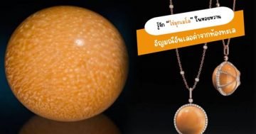 “ไข่มุกเมโล” ในหอยหวาน