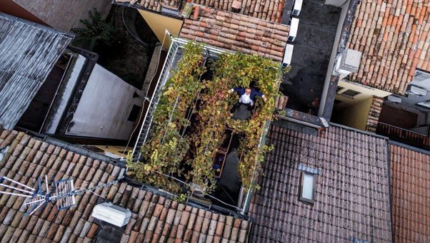 ไวน์สุดพิเศษที่เป็นตัวแทนงานศิลป์