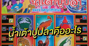 น้ำเต้าปูปลาคืออะไร