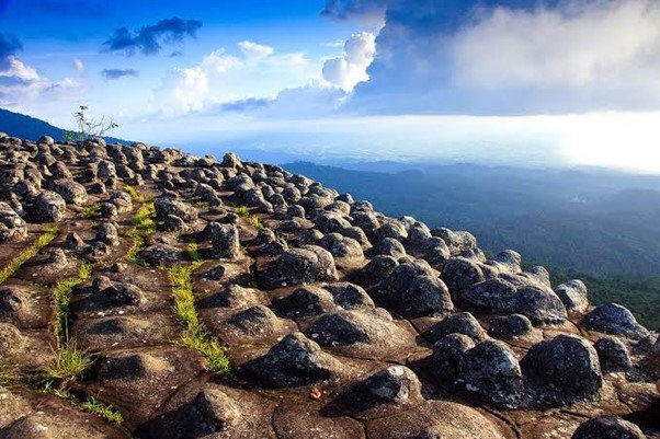 ลานหินปุ่ม