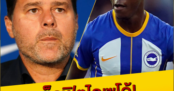 เช็คฟิตไคเซโด้