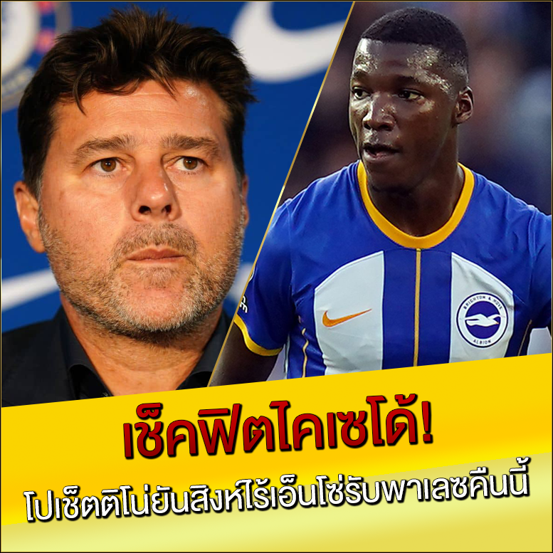 เช็คฟิตไคเซโด้